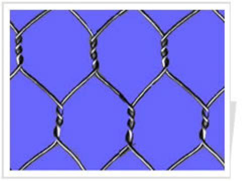 Hexagonal Wire Netting